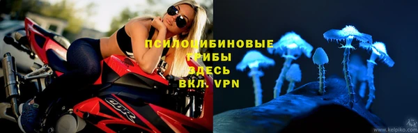 бутират Богданович