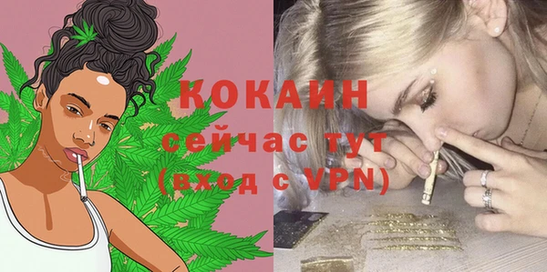 apvp Богородицк