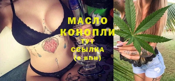 МДПВ Богородск
