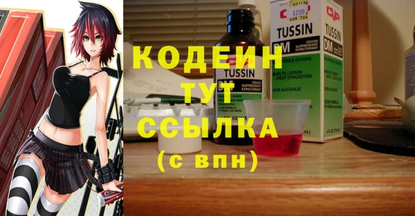 apvp Богородицк