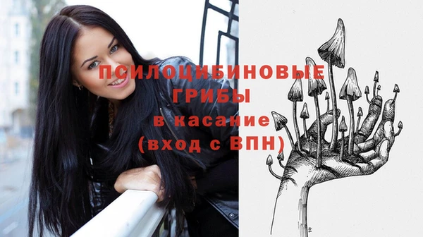 МДПВ Богородск