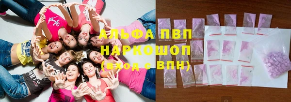 МДПВ Богородск