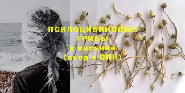 apvp Богородицк